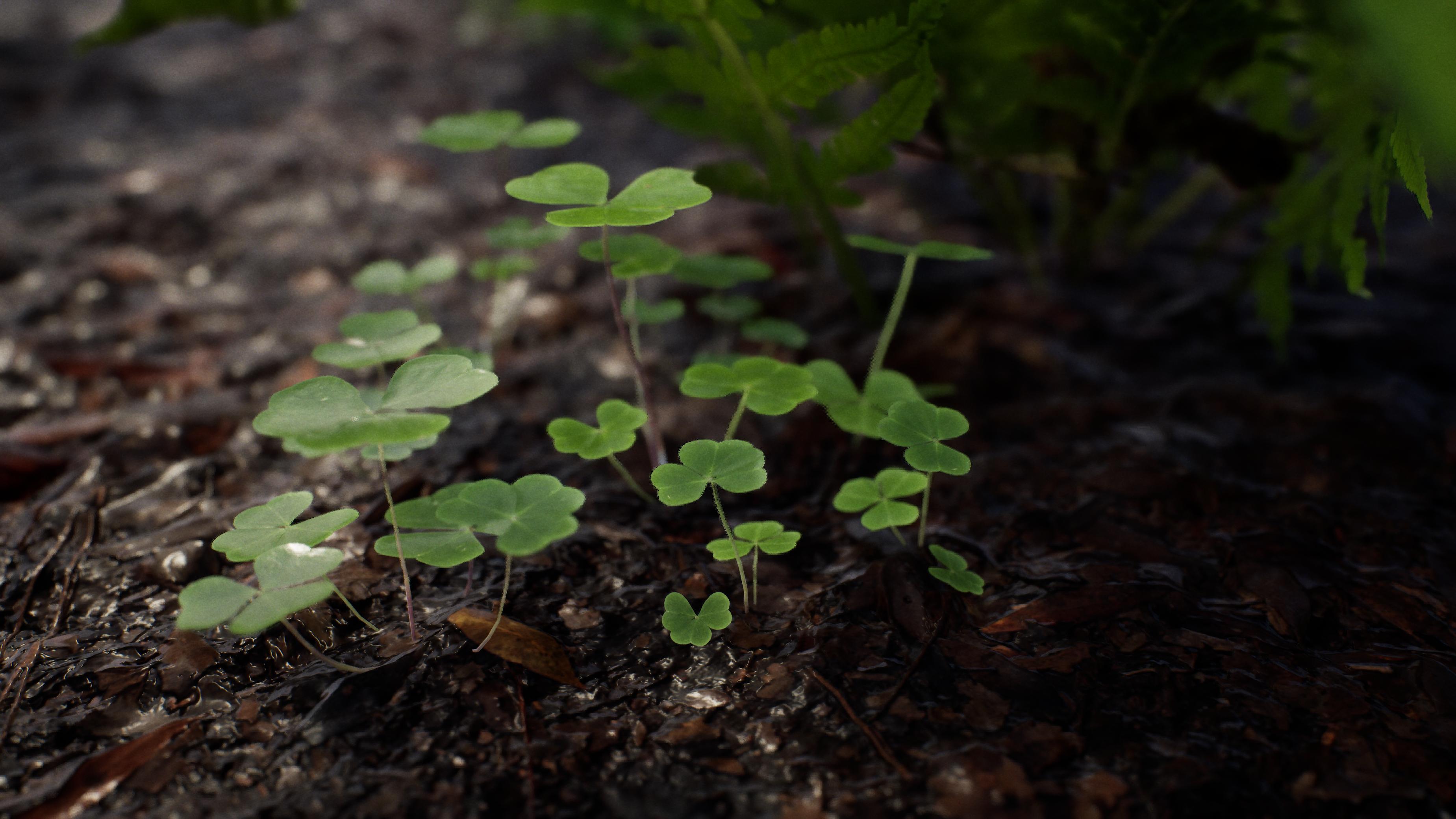 Virtual Production Nature- Screenshot 1