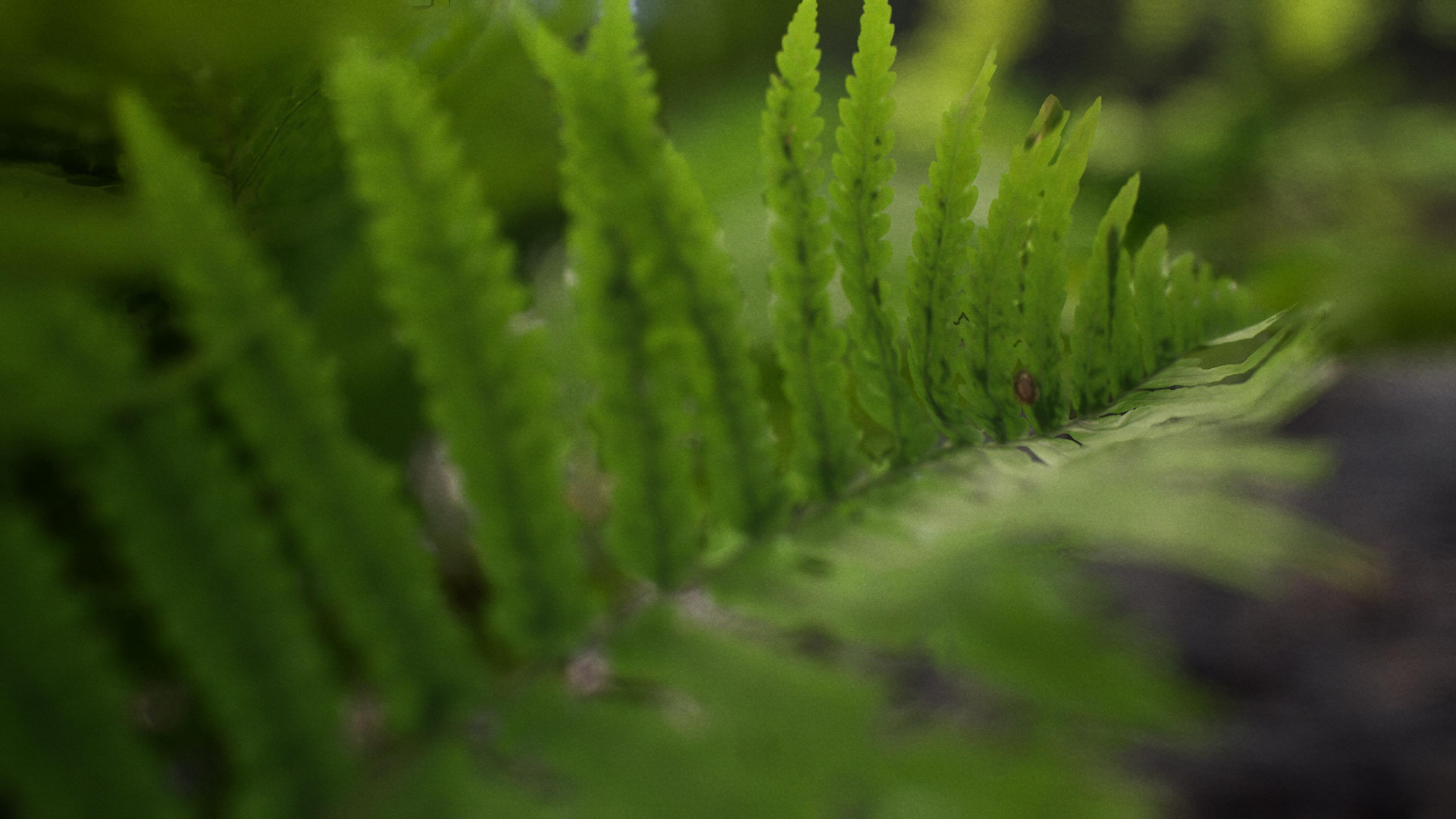 Virtual Production Nature- Screenshot 2